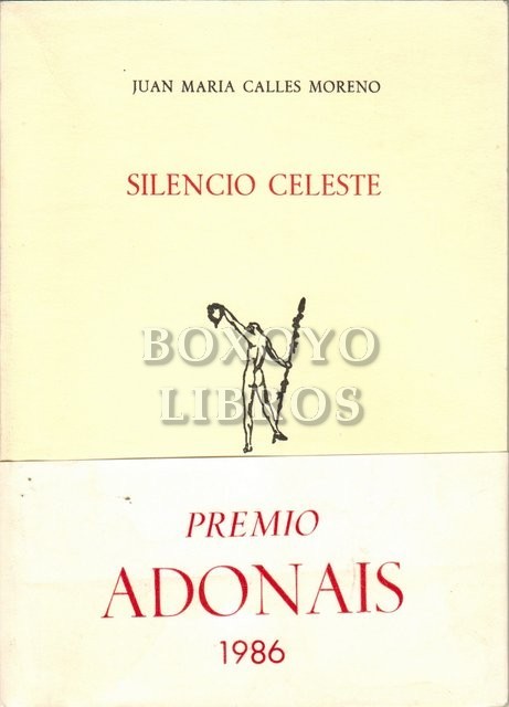 Silencio celeste