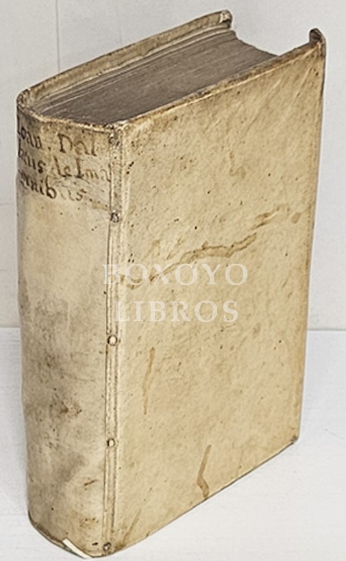 Ioannis Dallaei De Imaginibus. Libri IV. Placuit picturas in Ecclessia esse non debere, ne quod colitur & adoratur, in parietibus depingatur