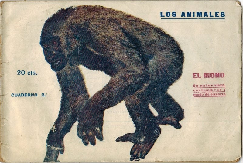 El mono. Su naturaleza, costumbres y modo de cazarlo