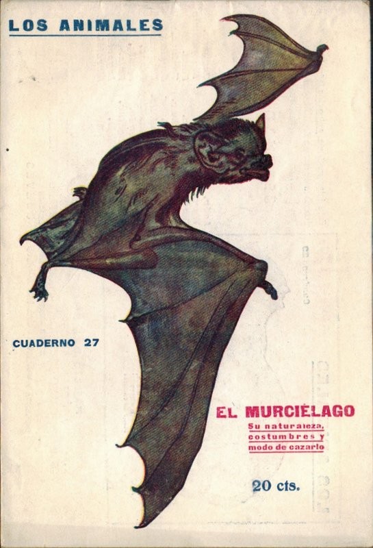 El murcielago. Su naturaleza, costumbres y modo de cazarlo
