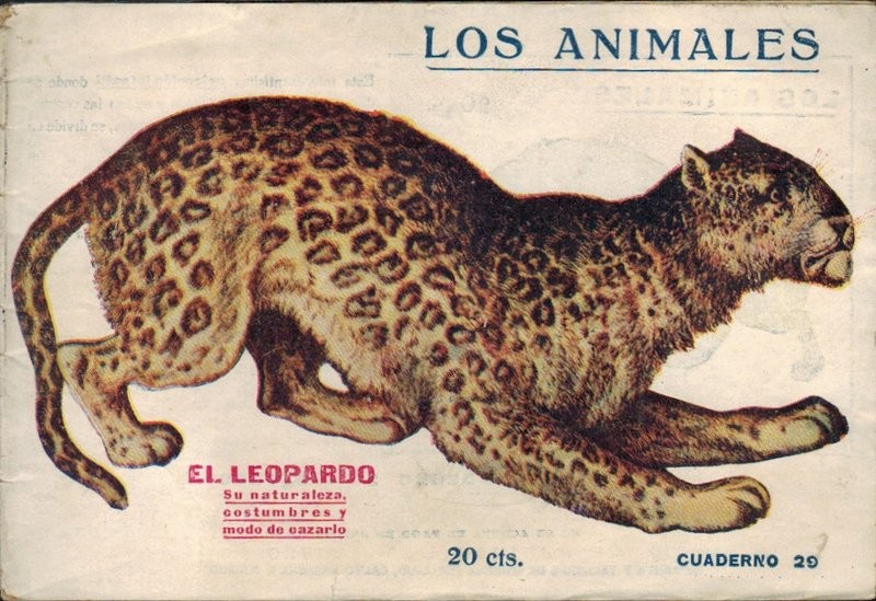 El leopardo. Su naturaleza, costumbres y modo de cazarlo