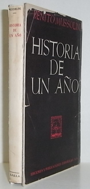 Historia de un año