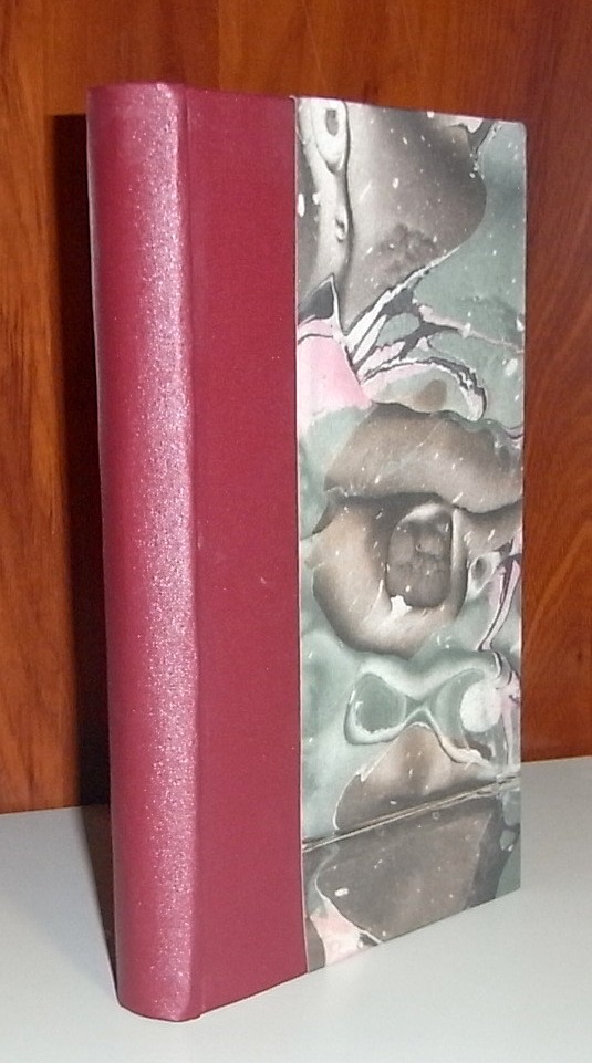 Manuel de l'amateur de porcelaines. Manufactures françaises suivi du répertoire alphabétique et systématique de toutes les marques connues
