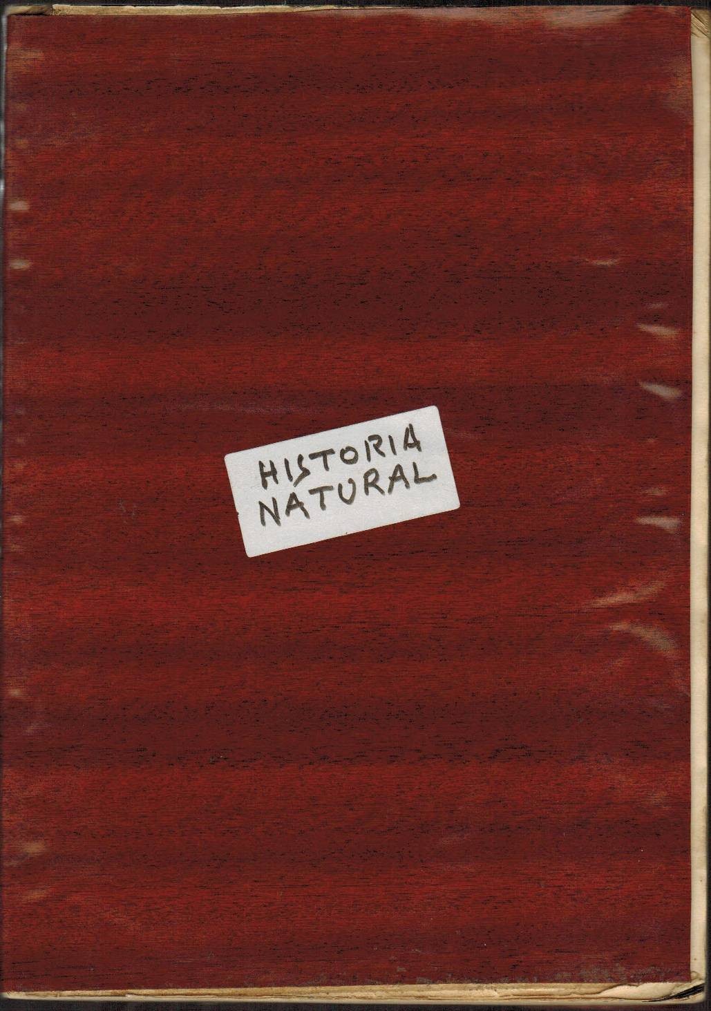 Historia Natural (Geología y Biología)