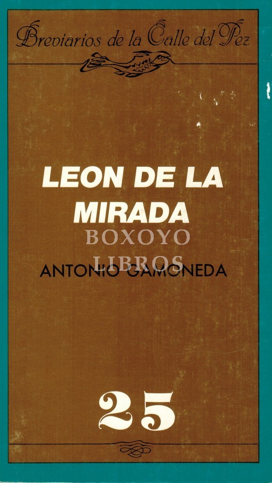 León de la mirada