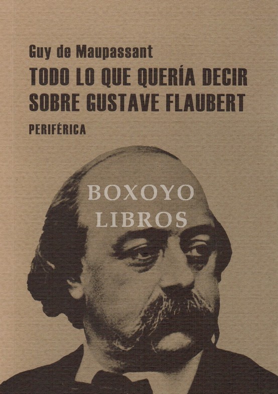 Todo lo que quería decir sobre Gustave Flaubert. Traducción y prólogo de Manuel Arranz