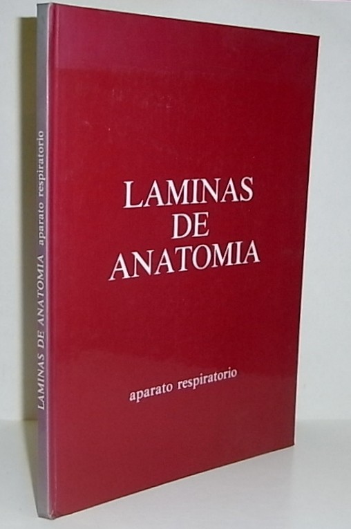 Láminas de Anatomía. Aparato respiratorio