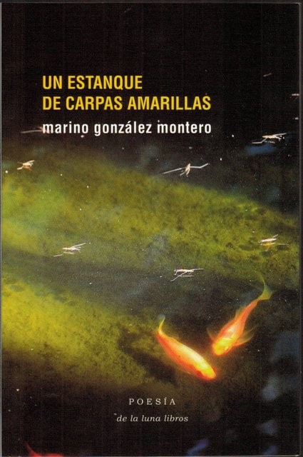 Un estanque de carpas amarillas