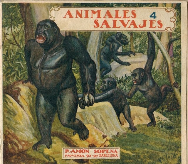 Animales salvajes 4