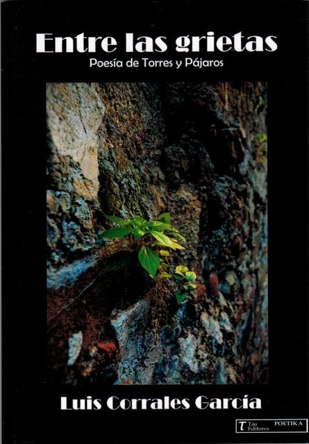 Entre las grietas. Poesía de Torres y Pájaros