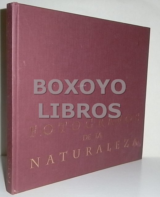Fotografos de la naturaleza