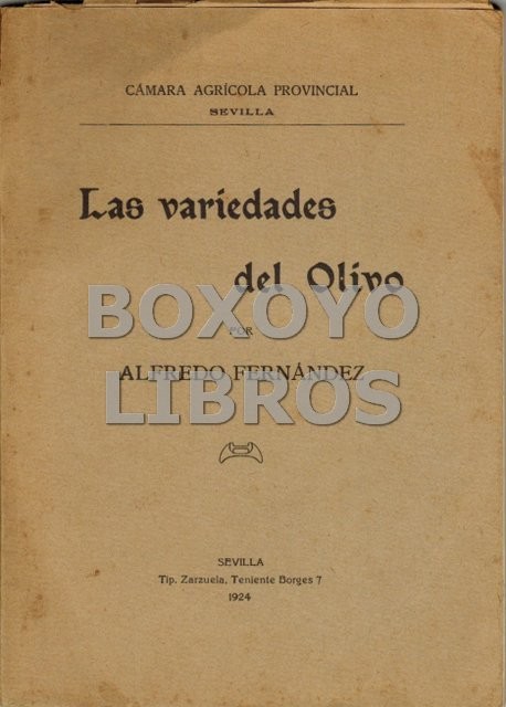Las variedades del Olivo en la provincia de Sevilla