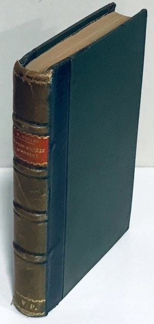 La Robe brodée d'argent