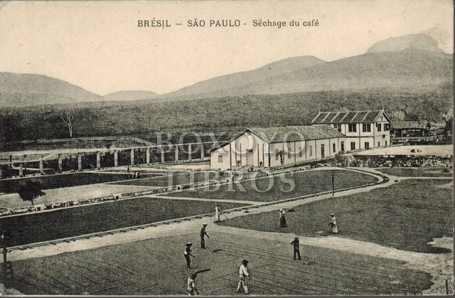 Tarjeta postal. Brésil- Sâo Paulo - Séchage du café [Brasil. Sao Paulo. Secado de café]