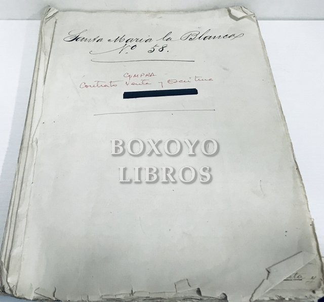 Sevilla. Títulos de unos terrenos en las afueras de la extinguida Puerta de la Carne (Calle Santa María la Blanca)