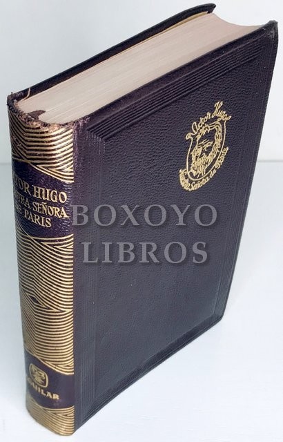 Nuestra Señora de París. Versión española de Amando Lázaro Ros. Prólogo de Luis Hernández Alfonso. Con 116 ilustraciones