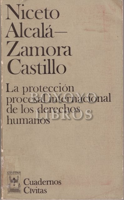 La protección procesal internacional de los derechos humanos