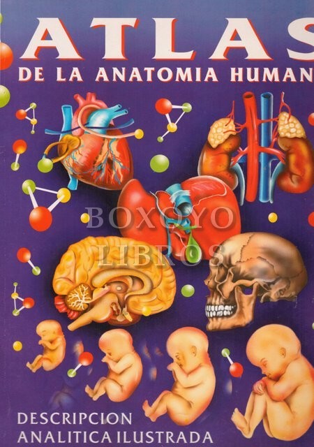 Atlas de Anatomía Humana. Descripción Analítica Ilustrada