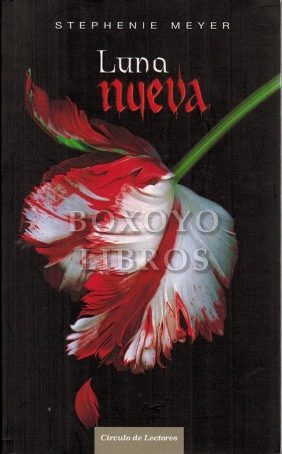 Luna nueva
