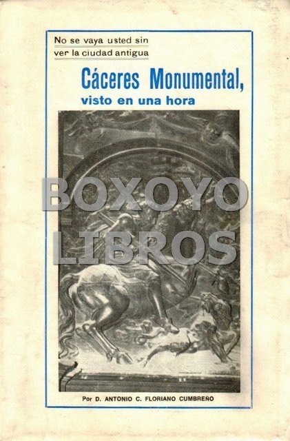 Cáceres Monumental. Visto en una hora