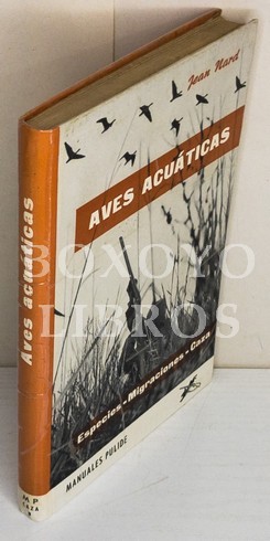 Aves acuáticas. Especies. Migraciones. Caza