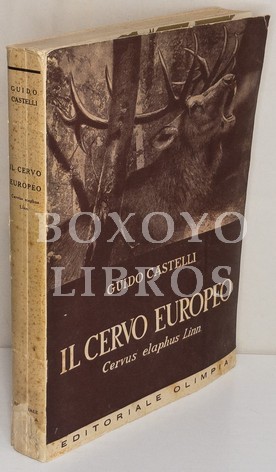 Il cervo europeo. Cervus elaphus Linn