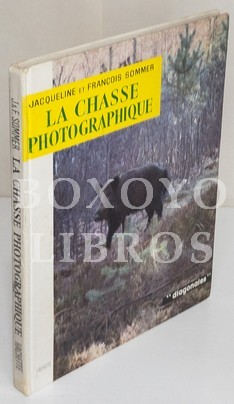 La chasse photographique