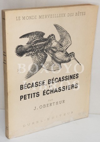 Le monde merveilleux des bêtes : Bécasse, Bécassines et petits échassiers