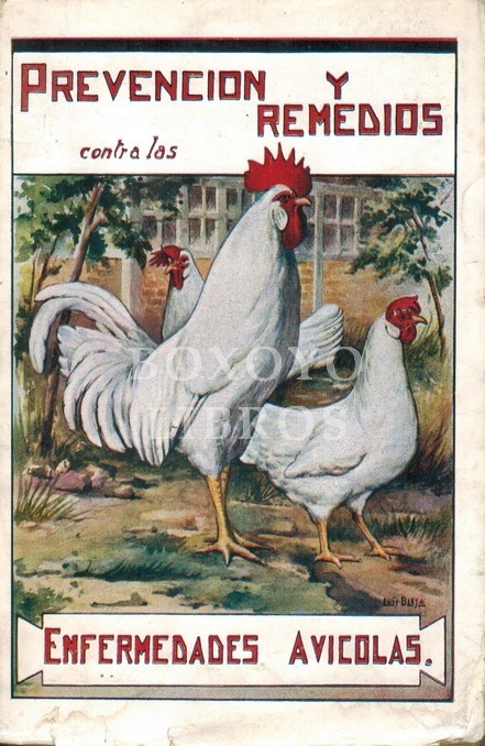 Prevención y remedios contra las enfermedades avícolas
