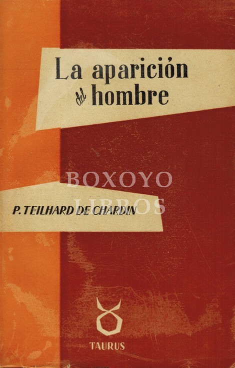 La aparición del hombre