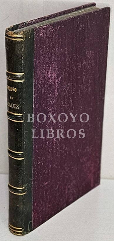 Historia del saqueo de Cádiz por los ingleses en 1596 / escrita por Fr.../. Publícase con otras relaciones contemporáneas y documentos ilustratorios por acuerdo del excmo. Ayuntamiento.
