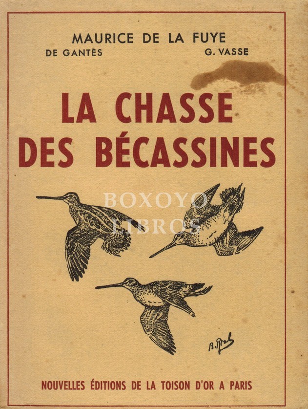 La chasse des bécassines