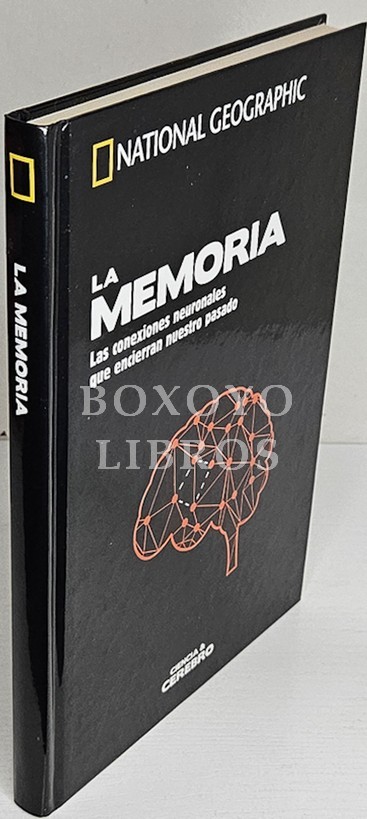 La memoria. Las conexiones neuronales que encierran nuestro pasado