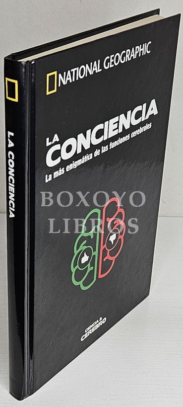La conciencia. La más enigmática de las funciones cerebrales