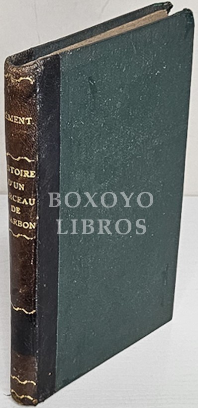 Histoire d'un morceau de charbon