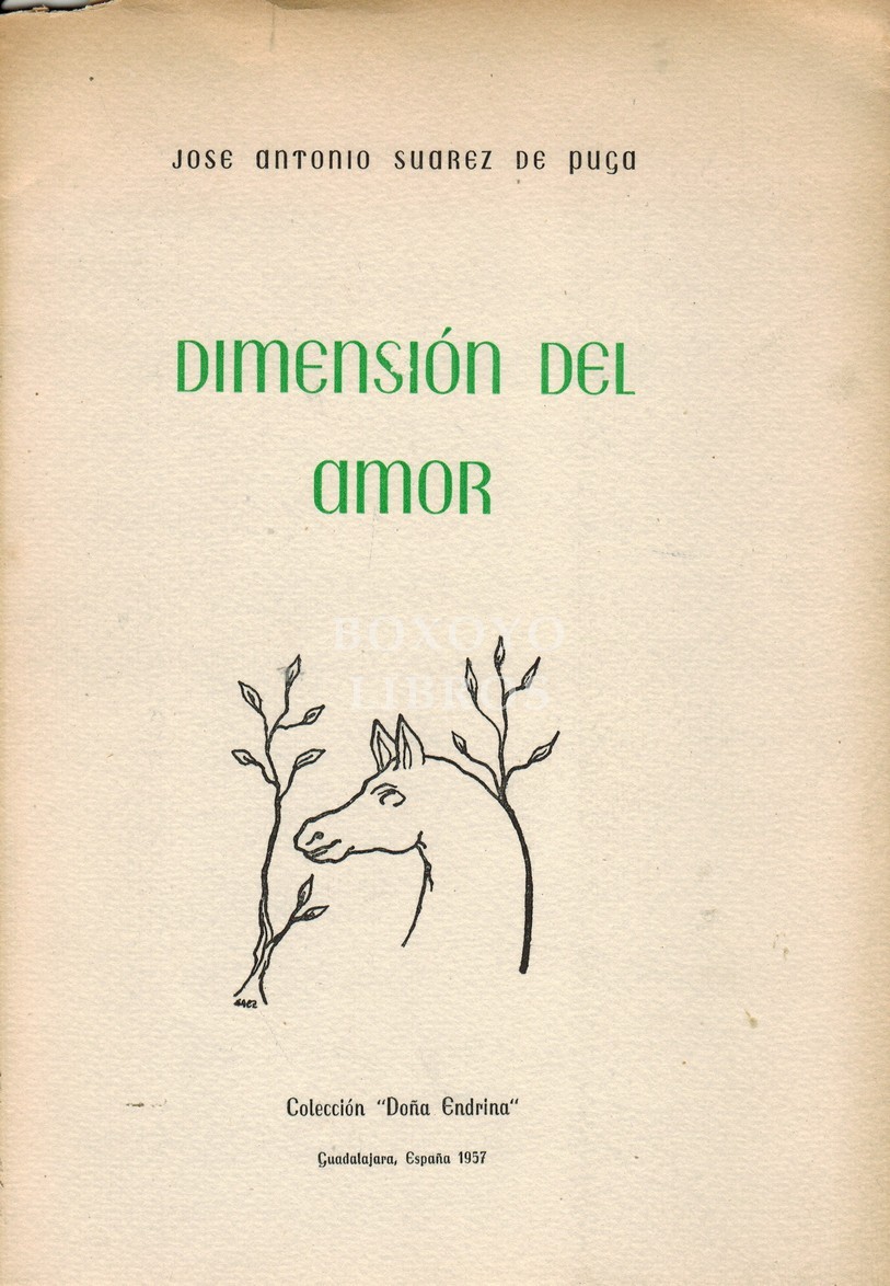 Dimensión del amor