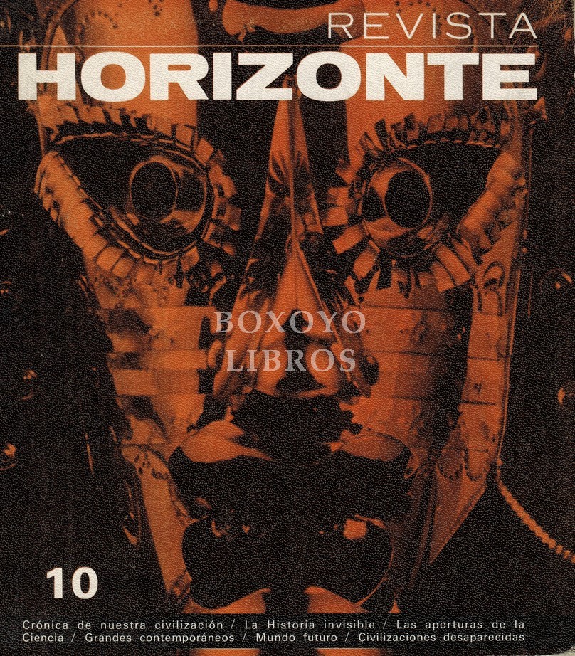 Revista Horizonte 10