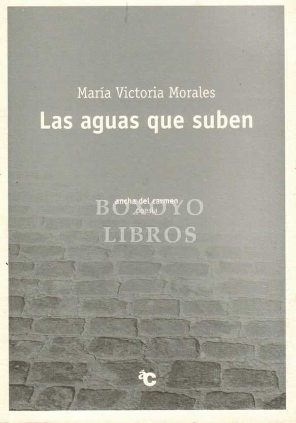 Las aguas que suben (1992-1996)