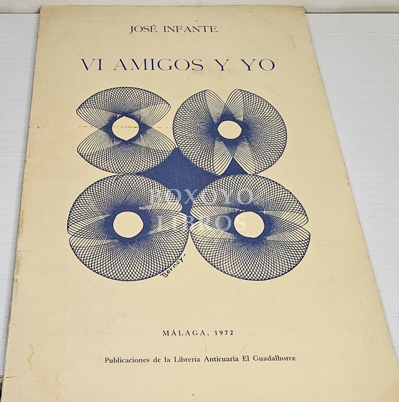 Vi amigo y yo. Edición Ángel Caffarena