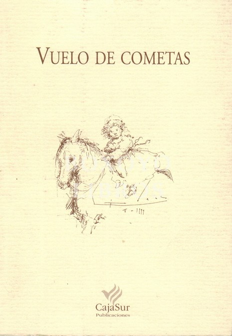 Vuelo de cometas