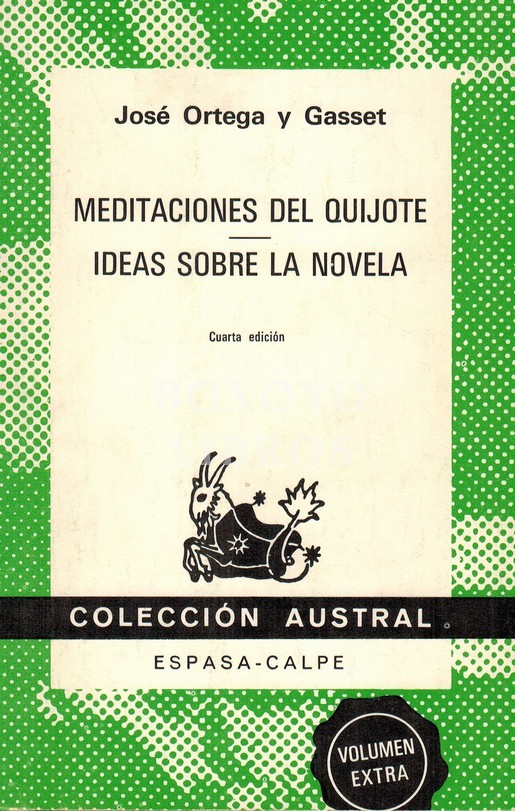 Meditaciones del Quijote/ Ideas sobre la novela