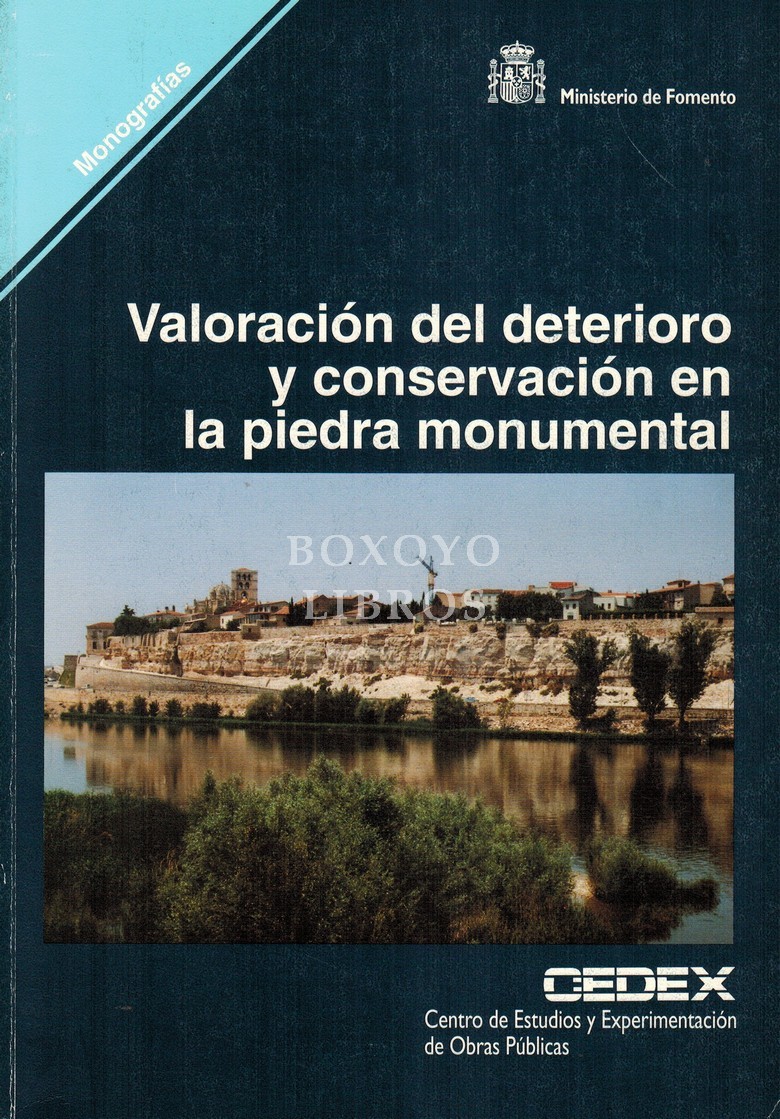 Valoración del deterioro y conservación en la piedra monumental