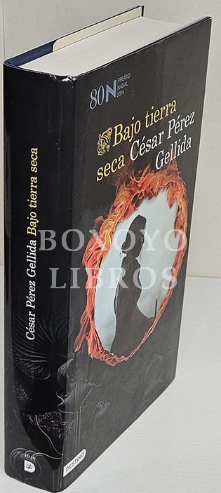 Bajo tierra seca. Premio Nadal de Novela 2024