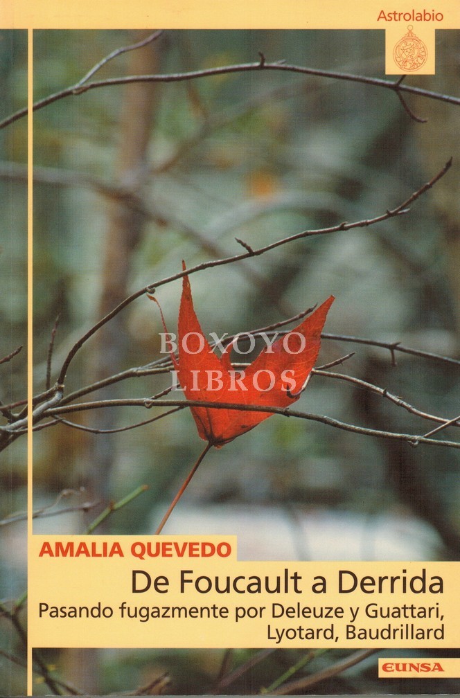 De Foucault a Derrida. Pasando fugazmente de Deleuze y Guattari, Lyotard, Baudrillard