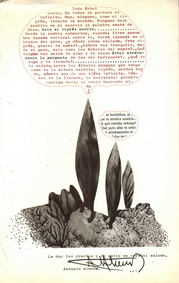 Alguna poesía. 1953-1973